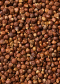 Grains of Paradise (Aframomum melegueta)