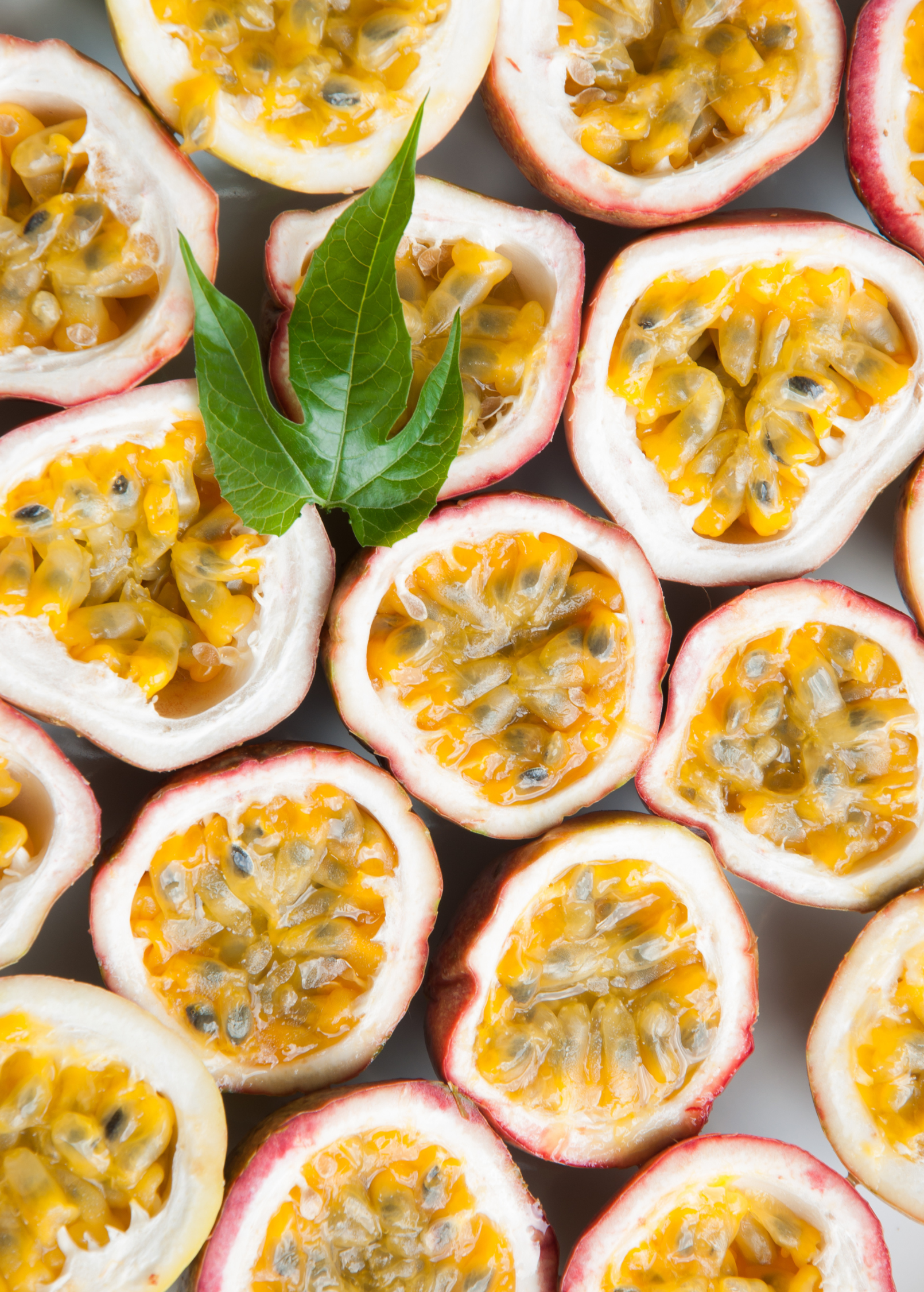 Passion Fruit 'Panama Red' (Passiflora edulis)