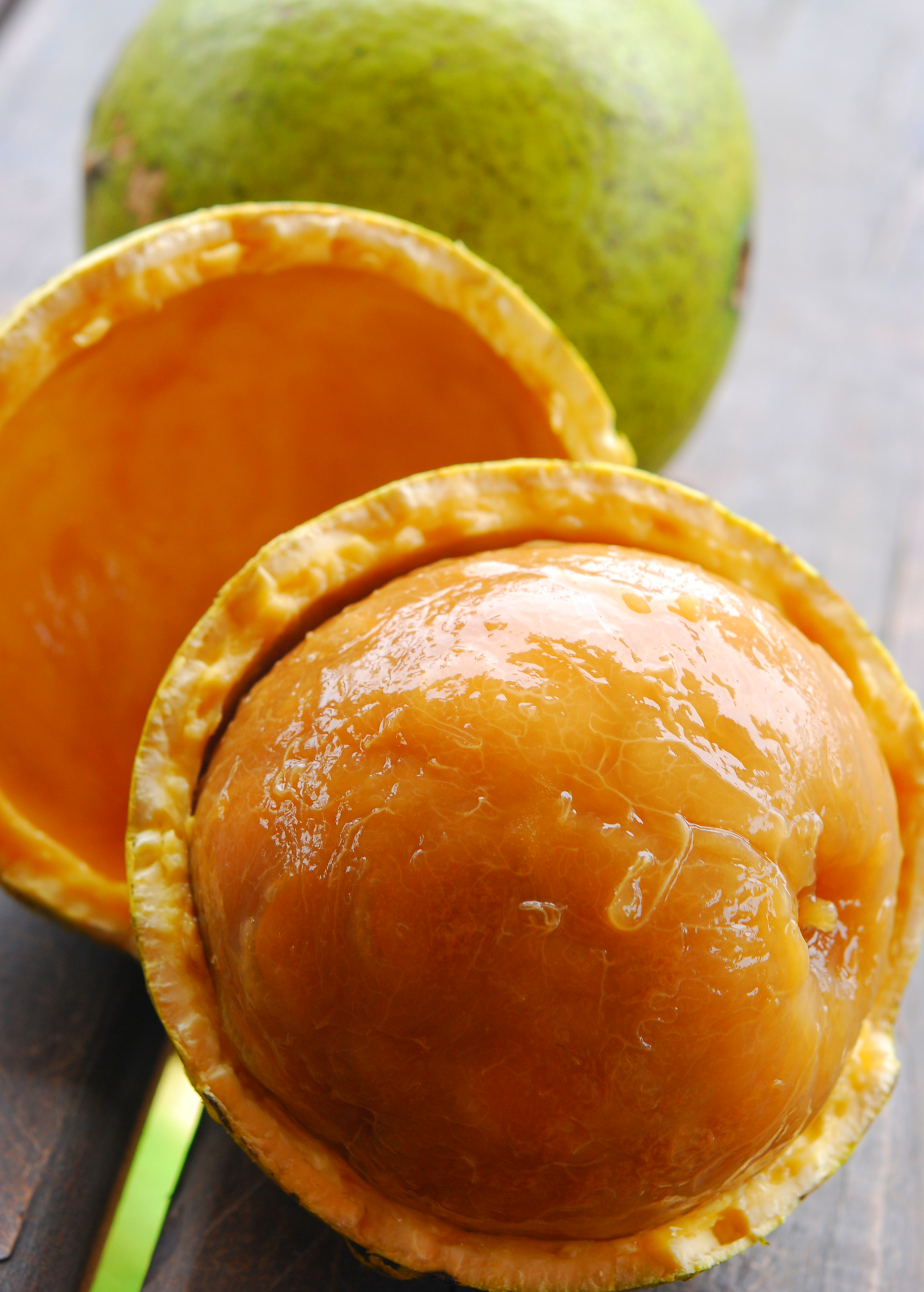 Monkey Orange (Strychnos spinosa)