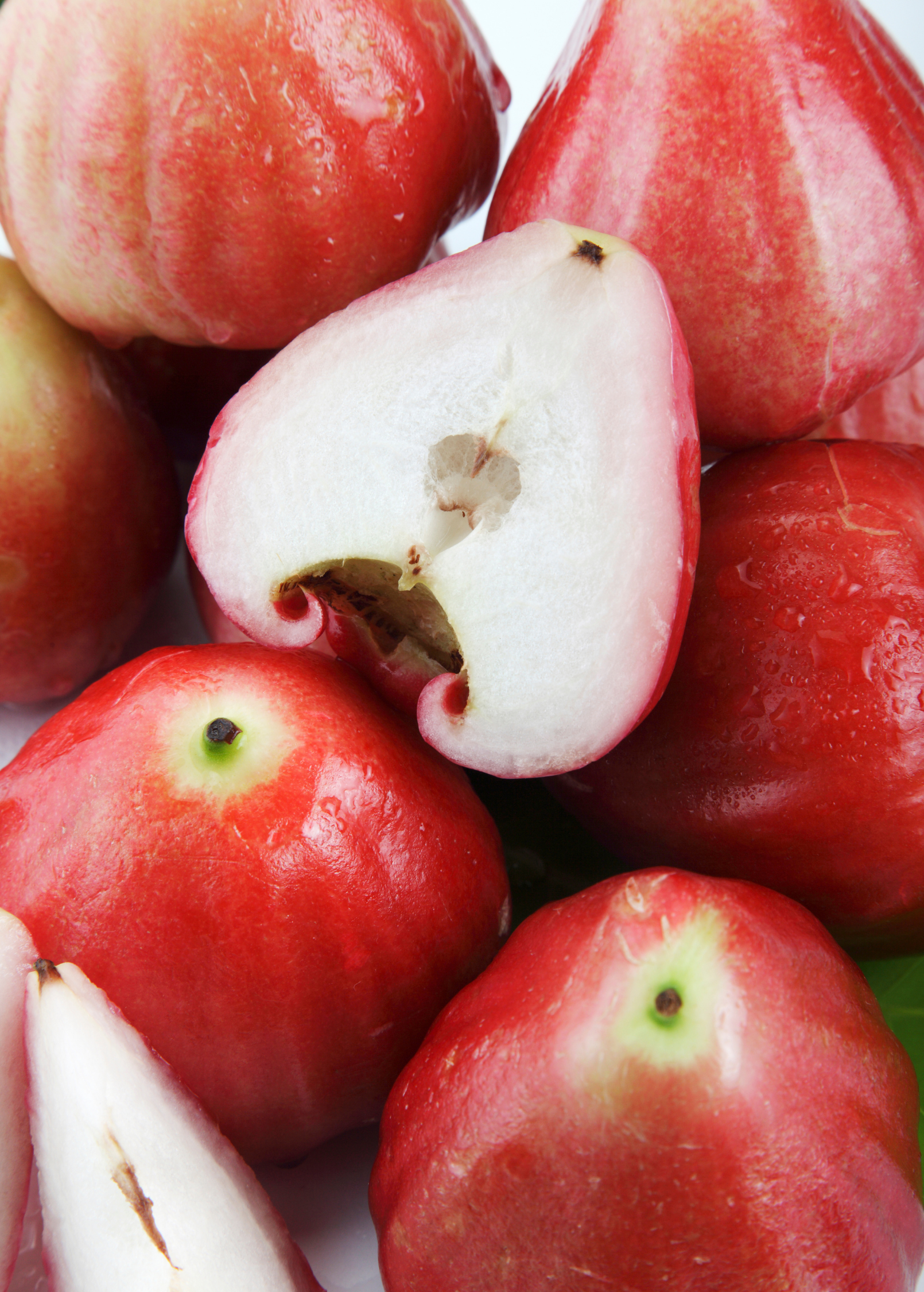 Wax Jambu, Red (Syzygium samarangense)