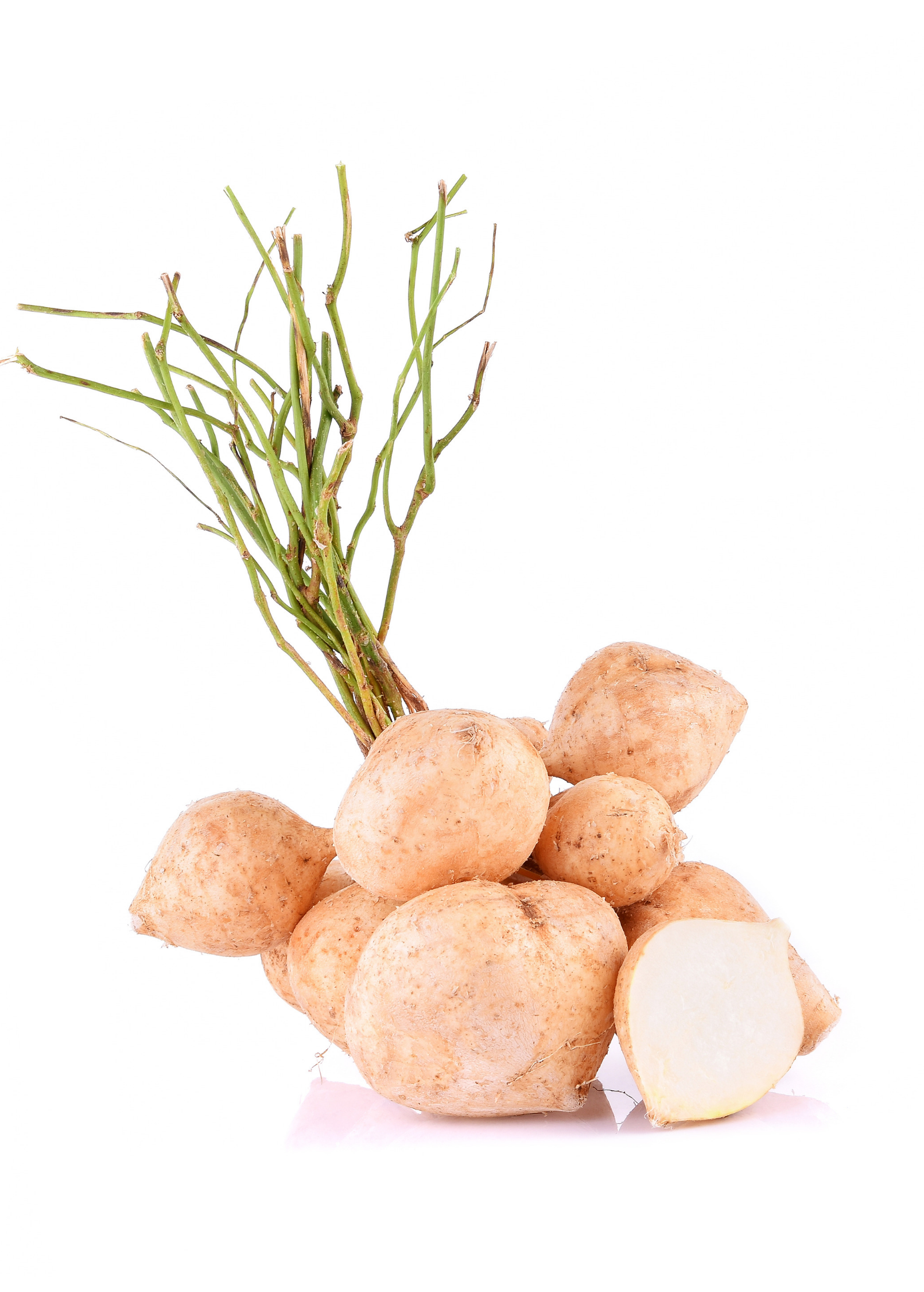 Jicama (Pachyrhizus erosus)
