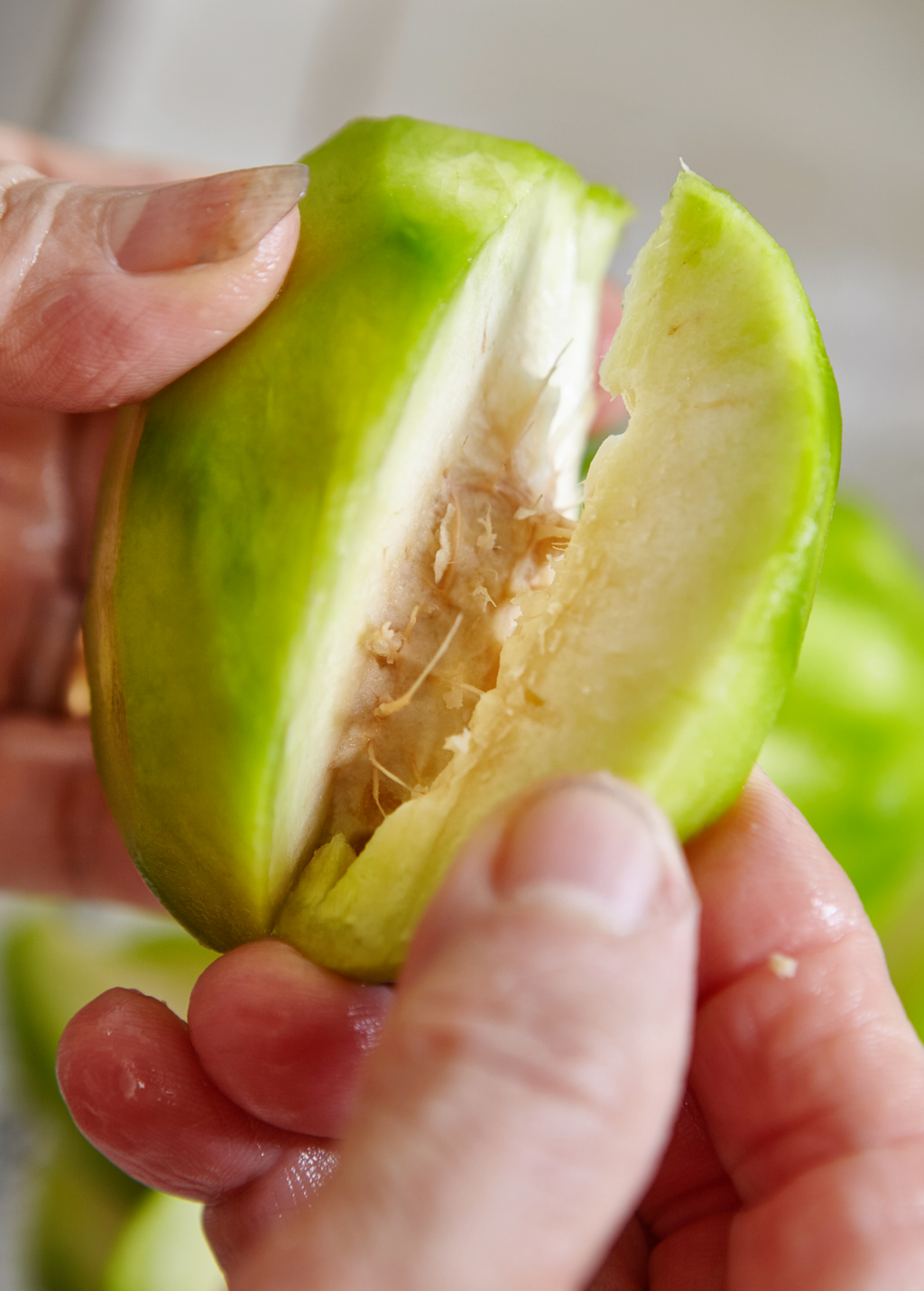 June Plum (Spondias dulcis)