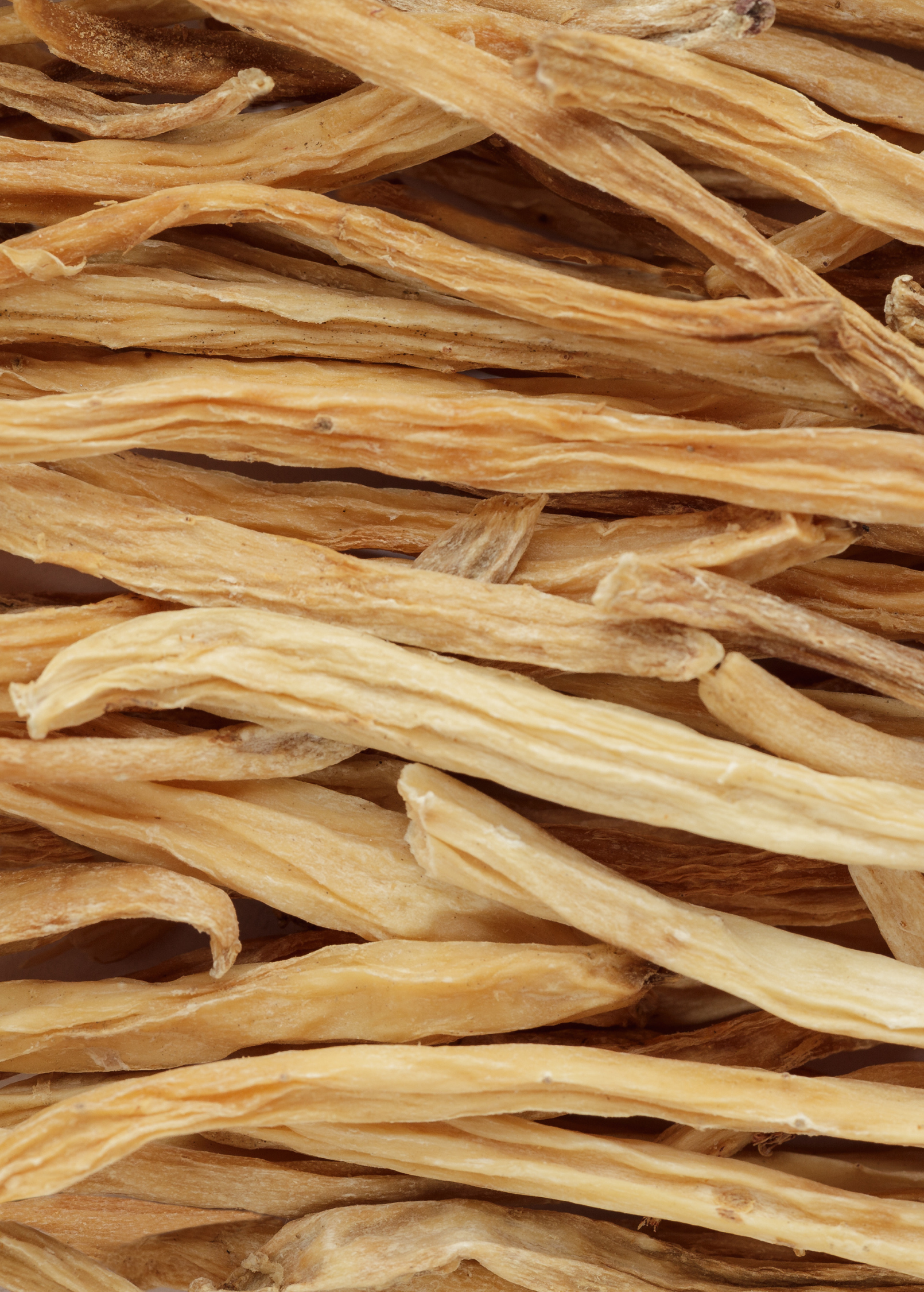 Shatavari (Asparagus racemosus)