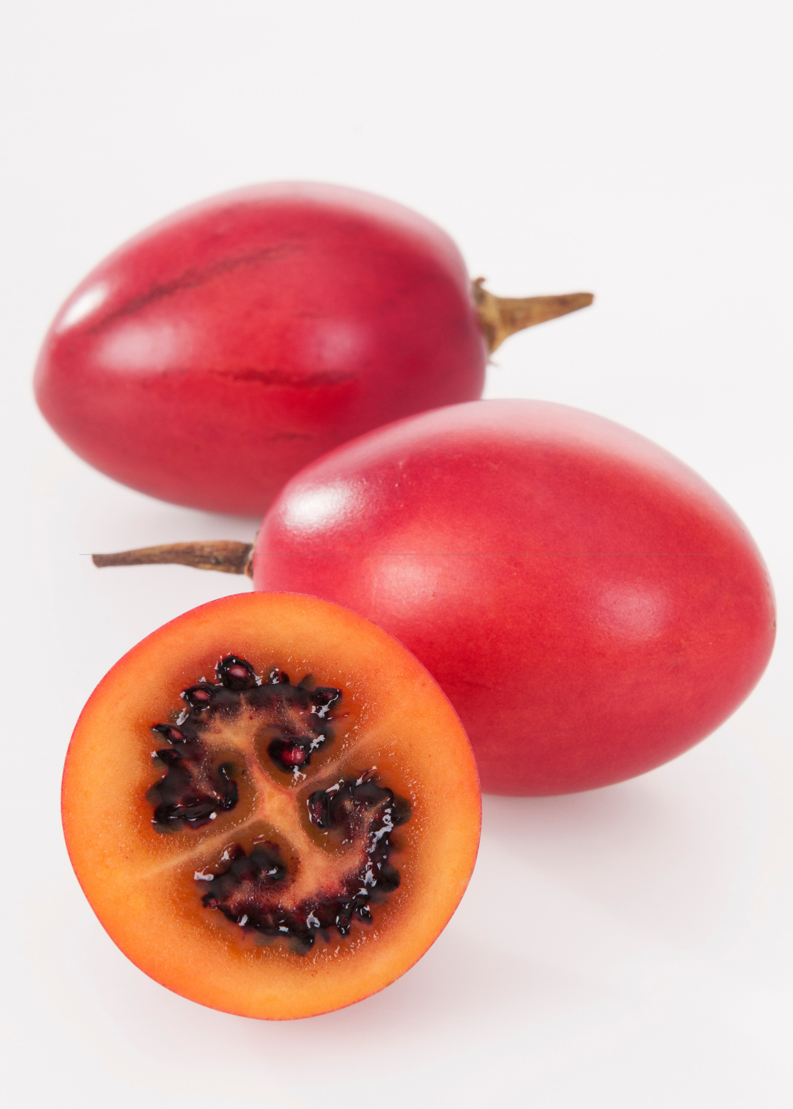 Tree Tomato, Red (Cyphomandra betaceae)